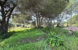 Boliqueime, Algarve