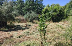 Aldeia de Santa Margarida, Castelo Branco District