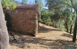 Sertã, Castelo Branco 6100-514