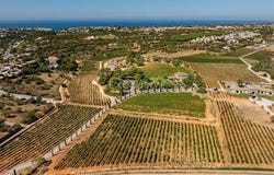 CARVOEIRO, Lagoa, Faro