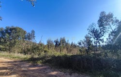 Maiorga, Leiria District