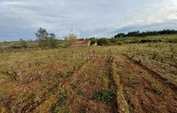 Ninho do Açor e Sobral do Campo, Castelo Branco District