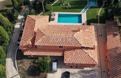 Anadia, Aveiro District