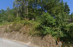 Vilar da Veiga, Braga
