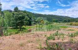 Caldas da Rainha, Leiria District