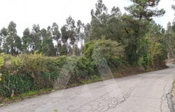 Requeixo, Aveiro District