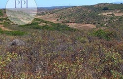 Vila do Bispo, Faro 8650-000