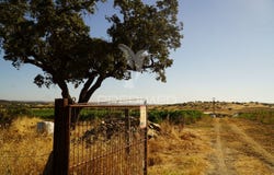 Santiago Maior, Alandroal, Évora District