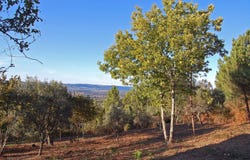 Gouveia, Guarda District