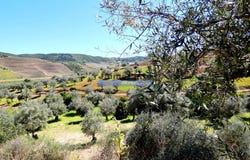 Santa Comba, Guarda 5150