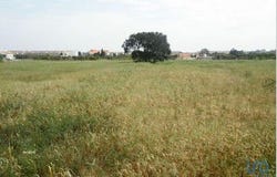 Alcochete, Setúbal 2890-151