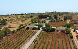 Luz, Algarve