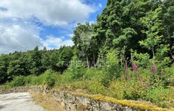 Cavez, Cabeceiras de Basto, Braga