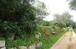 Paderne, Algarve