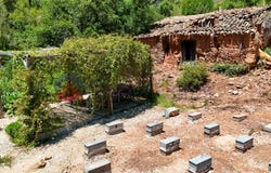 Odeceixe, Algarve 8670
