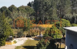 Praia do Ribatejo, Santarém District