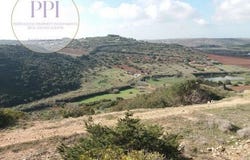 Vila do Bispo, Faro 8650-000