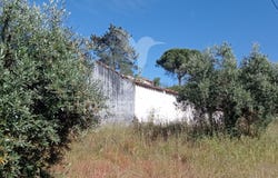 Montargil, Ponte de Sor, Portalegre District 7400