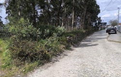 Apúlia e Fão, Braga