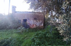 São Pedro De Tomar, Santarém 2300