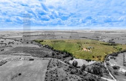 Fronteira, Portalegre 7460
