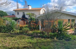 Ossela, Aveiro Municipality 3720