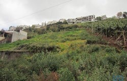 Funchal, Ilha da Madeira 9060-067