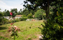 Penafiel, Porto District