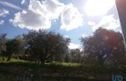 Torre de Moncorvo, Bragança 5160-003