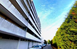 Anadia, Aveiro District