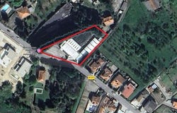 Vila Real, Vila Real District