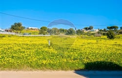 Faro, Algarve 8700