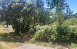 Valongo, Porto District