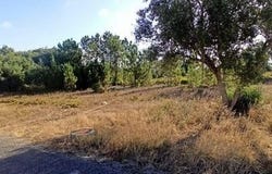 Coruche, Santarém 2100-516