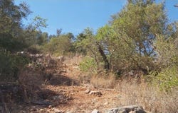 Paderne, Algarve