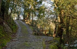 Vieira do Minho, Braga 4850-263