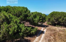 Sesimbra (Castelo), Setúbal 2970