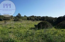Vila do Bispo, Faro 8650-000
