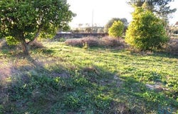 Tomar, Santarém 2305-101