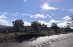 Samil, Bragança District