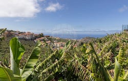 Câmara De Lobos, Madeira 9300