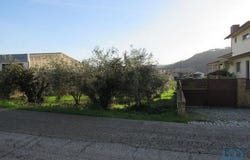 Leiria, Leiria 2420-166