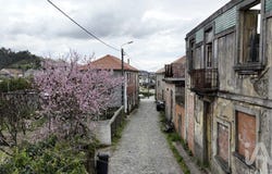 Porto, Porto District