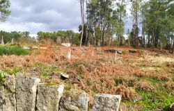 Pinheiros, Viana do Castelo District