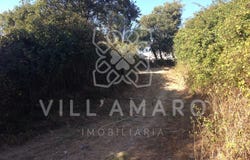 Milharado, Lisbon