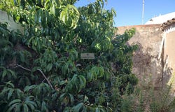 Vila do Bispo e Raposeira, Algarve 8650