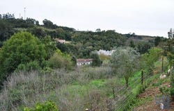 Alcobaça, Leiria 2460-741