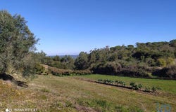 Leiria, Leiria District