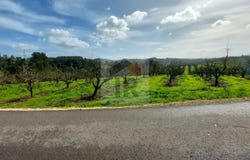 Caldas da Rainha, Leiria District
