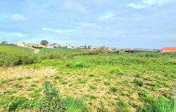 Ericeira, Lisbon 2655